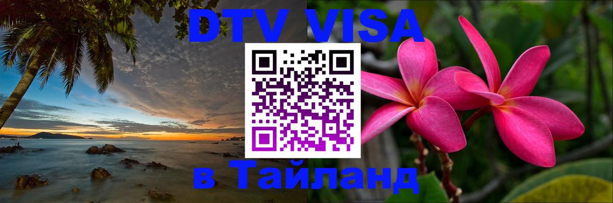 Сколько стоит DTV виза — актуальные цены, оформление даже без документов - Березники  19.11.2025 